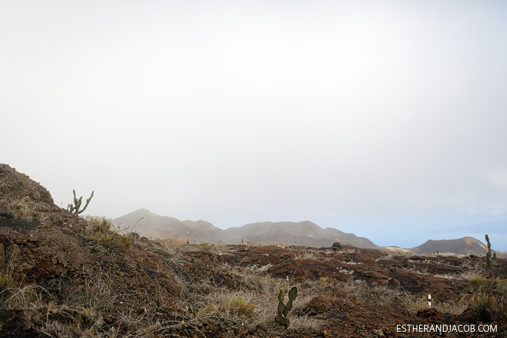 Sierra Negra Volcano Hike on Isabela Island Galapagos.