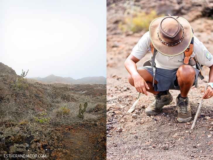 Sierra Negra Volcano Hike on Isabela Island Galapagos.