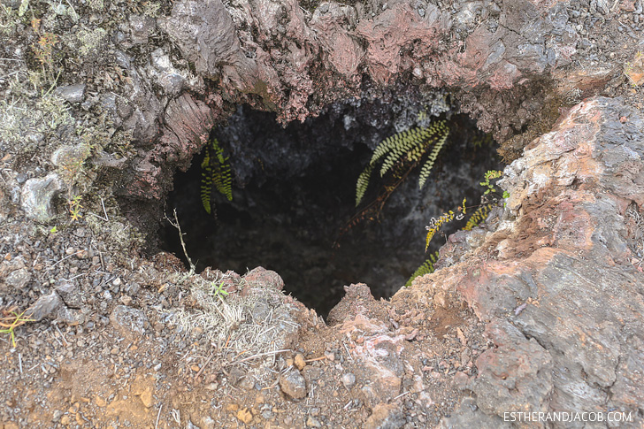 Sierra Negra Volcano Hike on Isabela Island Galapagos.