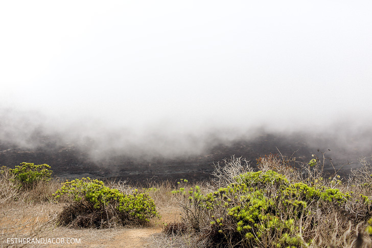 Sierra Negra Volcano is a Shield Volcano on Isabela Galapagos Island.