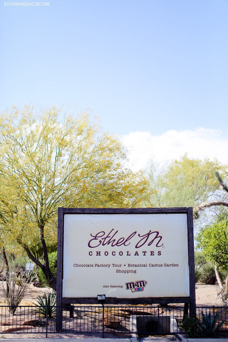 The Ethel M Chocolate Factory and Botanical Cactus Gardens.