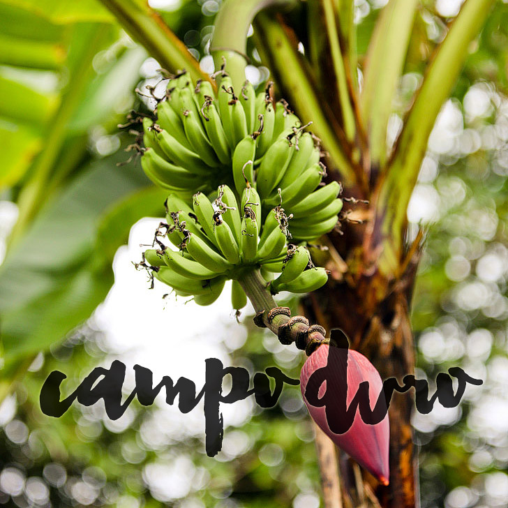 Galapagos Safari Camp – The Amazing Campo Duro Ecolodge
