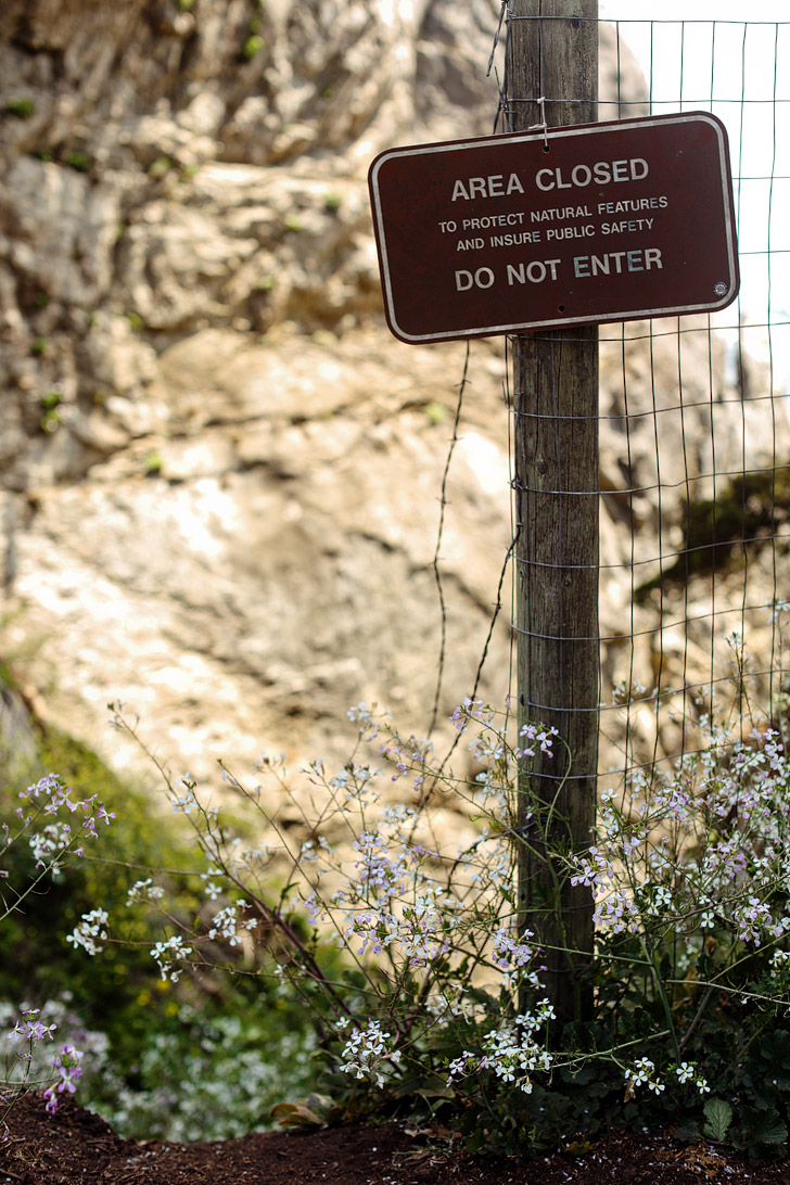 Mcway Waterfall Trail - Julia Pfeiffer Burns State Park Big Sur California USA // localadventurer.com