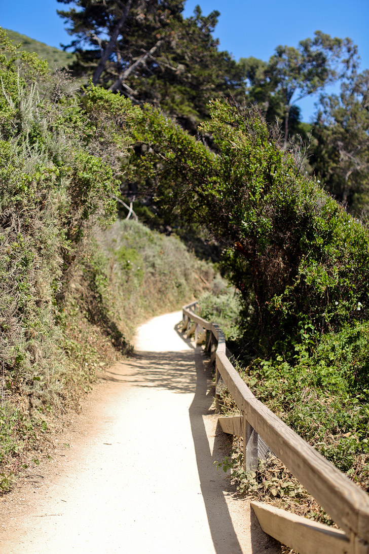 Mcway Waterfall Trail - Julia Pfeiffer Burns State Park Big Sur California USA // localadventurer.com