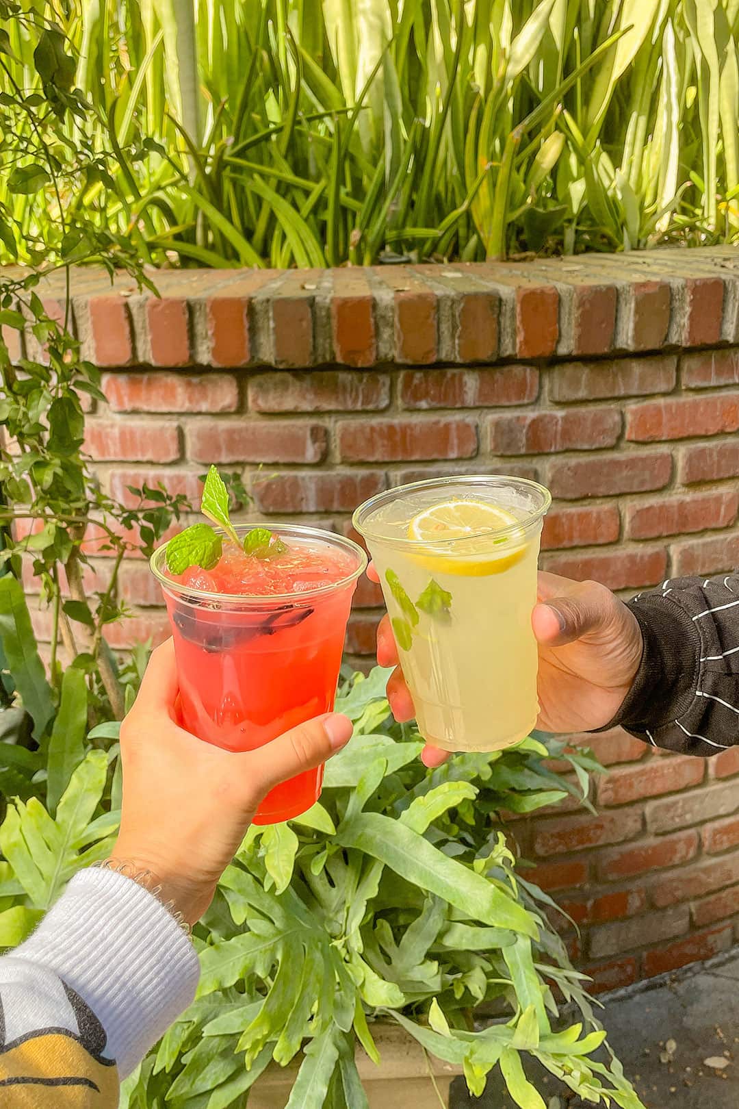 disneyland drinks