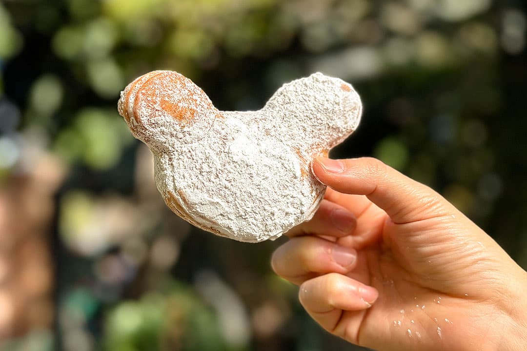 You are currently viewing 39 of the Best Food at Disneyland You Need to Try