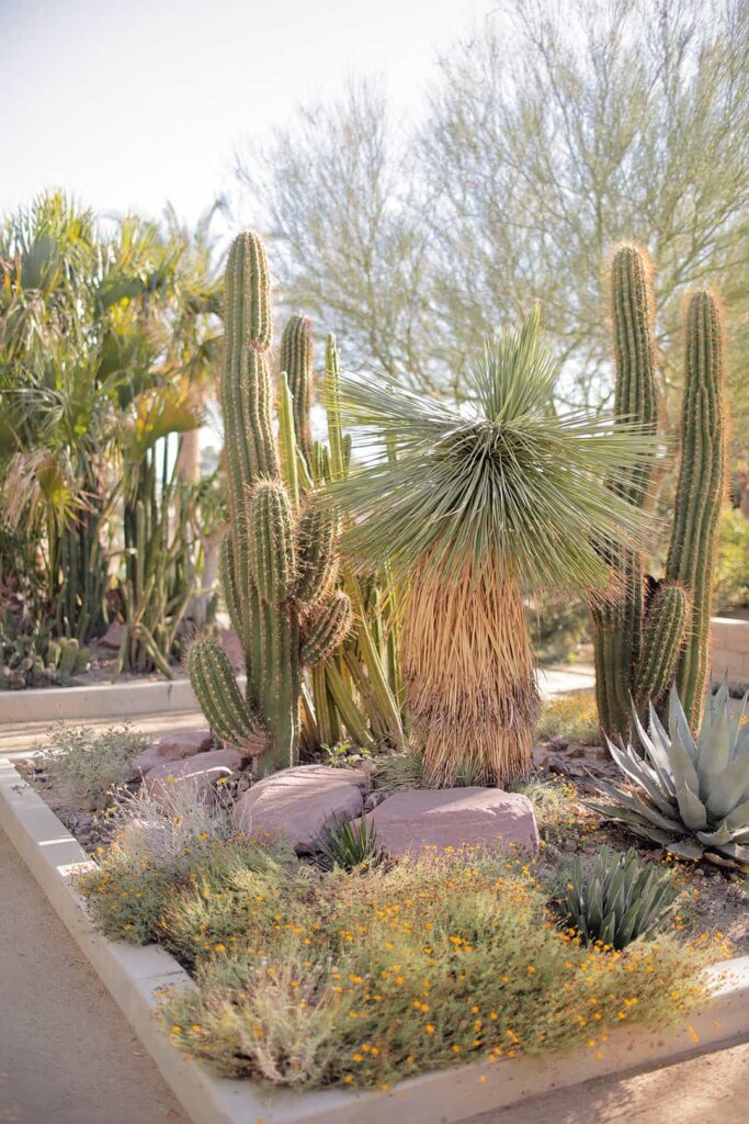 Botanical Garden entrance at the Las Vegas Springs Preserve