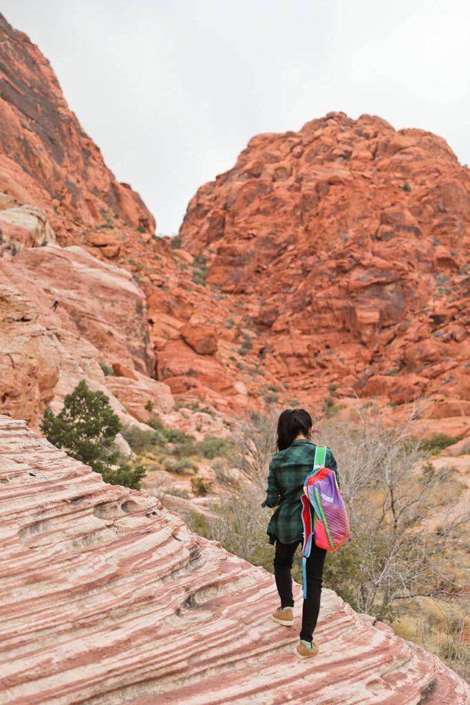 7 Best Things to Do in Red Rock Canyon National Recreation Area – Local  Adventurer » Travel Adventures in Las Vegas + World Wide