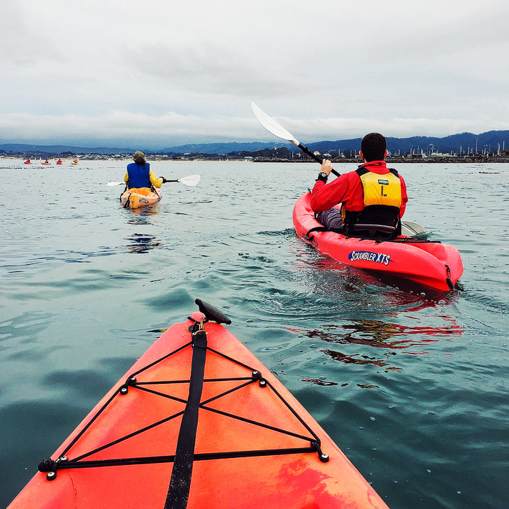 Kayaking in Monterey Bay with Adventures By the Sea