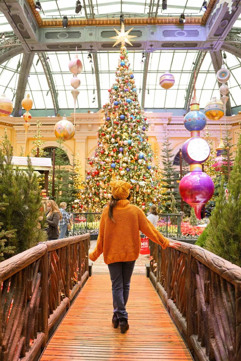 Christmas at the Bellagio Botanical Gardens 20232024 » Local Adventurer