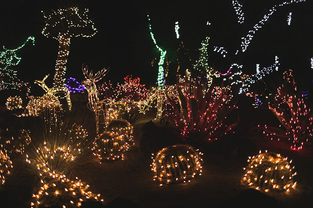 ethel m las vegas christmas lights