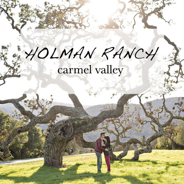 Holman Ranch in Carmel Valley Ca