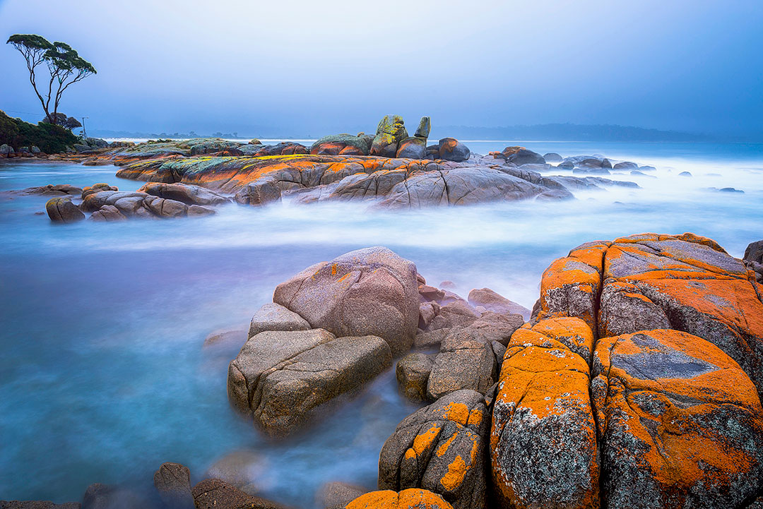 Bay of Fires Tasmania Australia + 25 Best Hikes in the World to Put on Your Hiking Bucket List