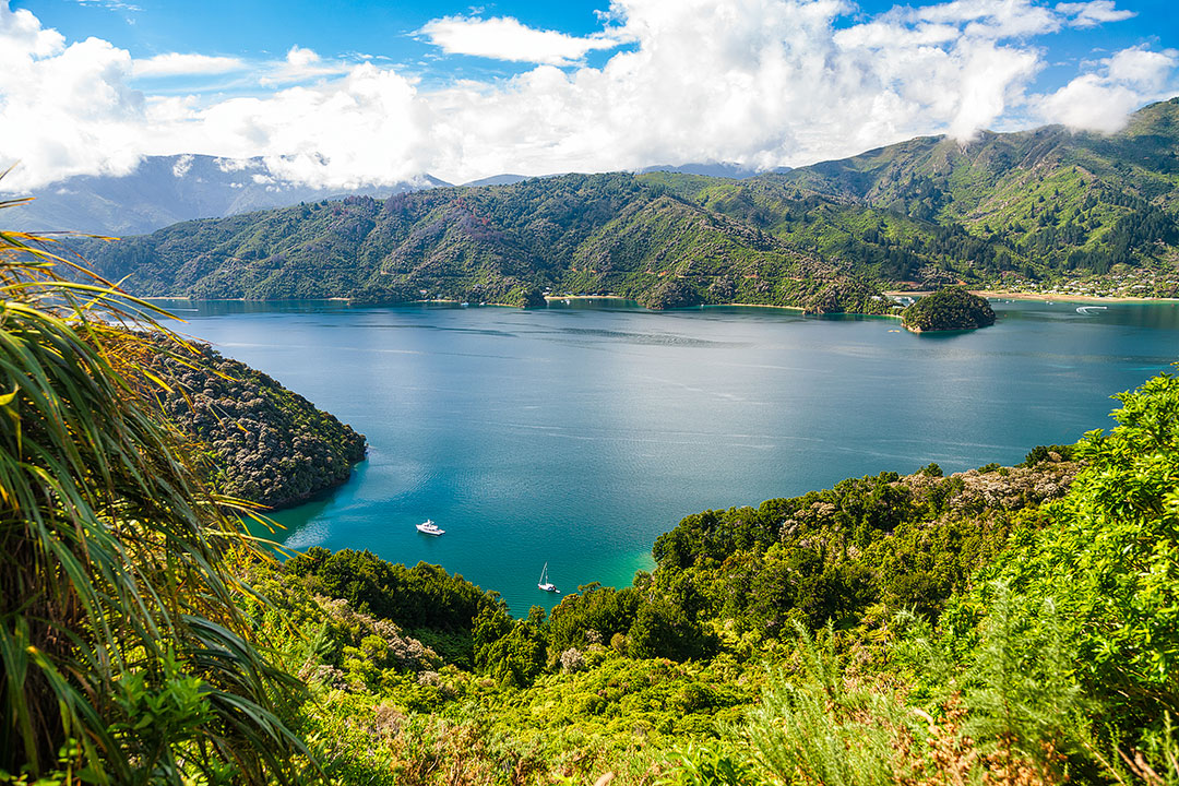 Queen Charlotte Track New Zealand + 25 Best Treks in the World