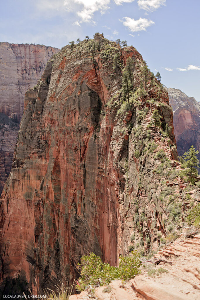 Angels Landing Zion National Park (15 Amazing Day Hikes in the US to Add to Your Bucket List Now) // localadventurer.com