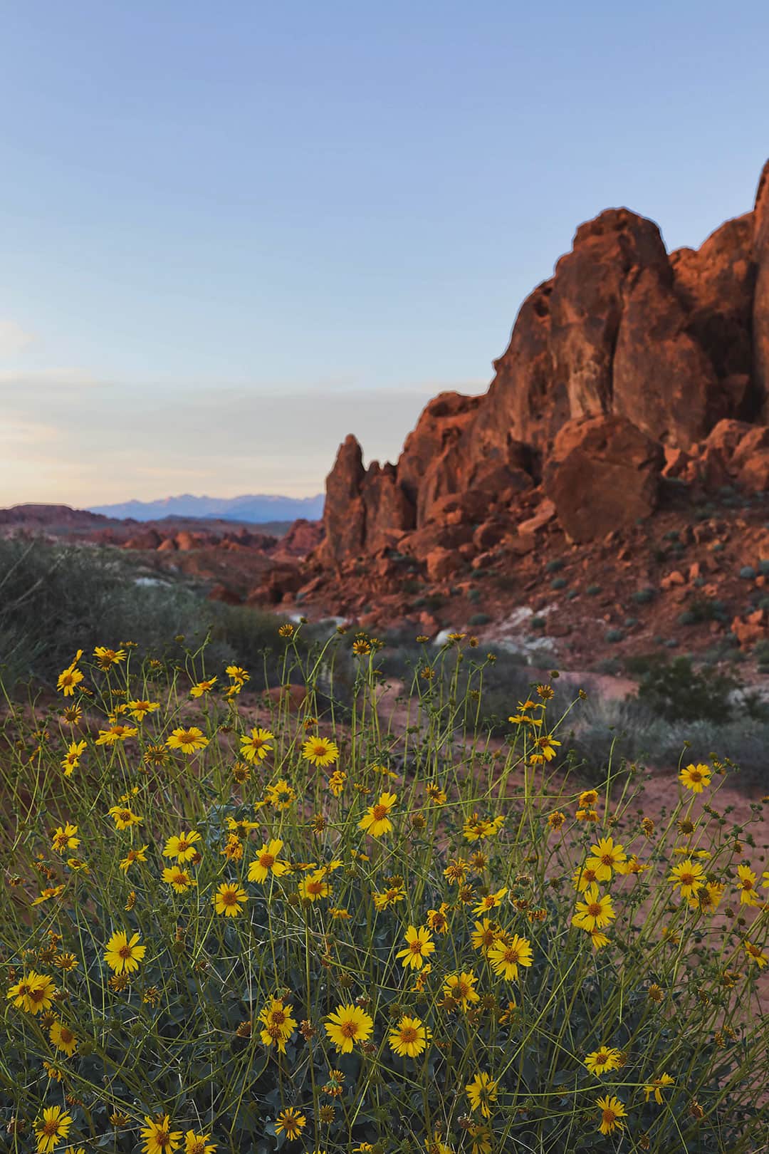 fire wave trailhead valley of fire state park