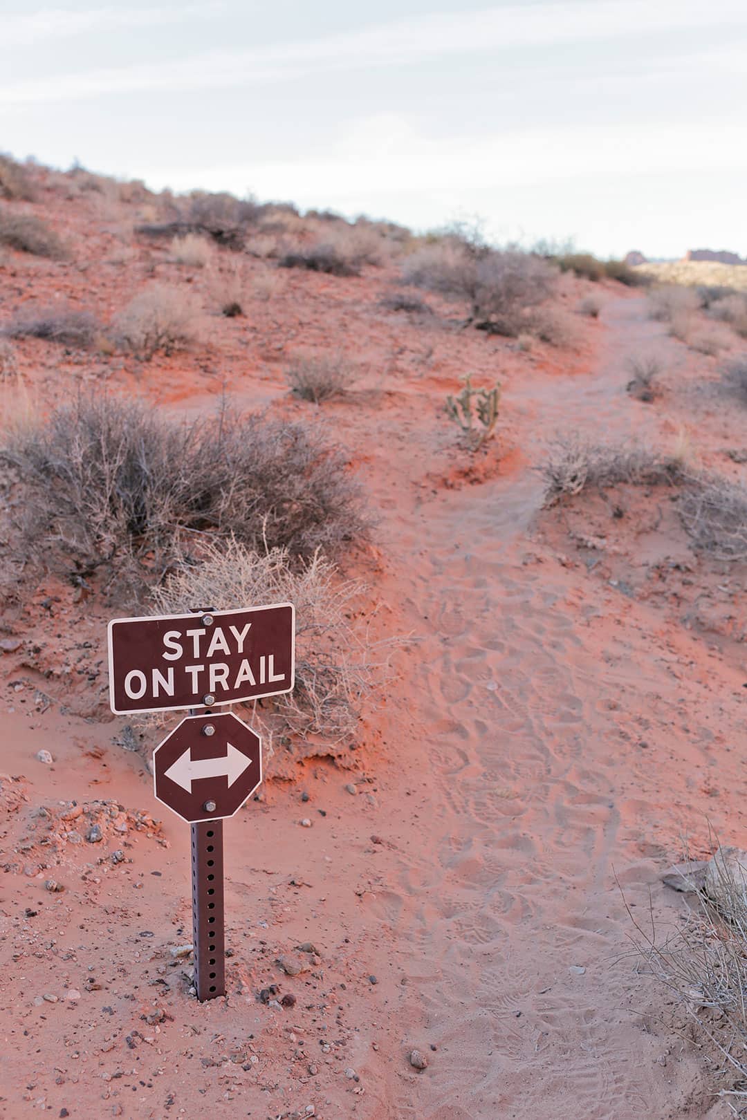 fire wave trailhead valley of fire state park