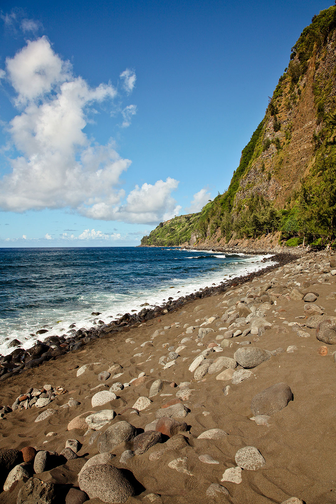 Muliwai Trail Hawaii + 15 Best Hikes in the US