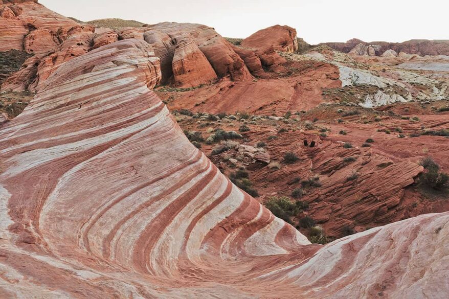 How To Hike The Fire Wave Valley Of Fire State Park Local Adventurer 