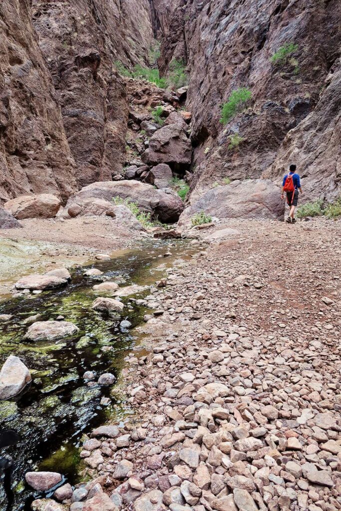 gold strike canyon hot springs