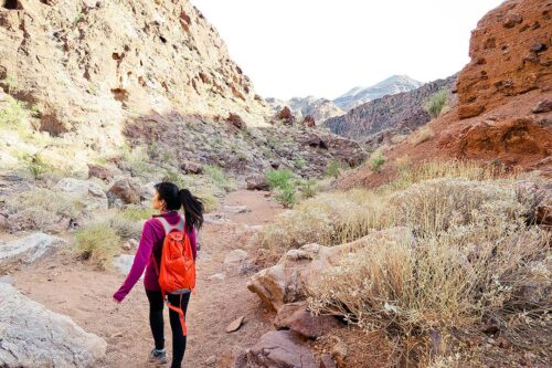 How to Hike to Gold Strike Hot Springs Las Vegas