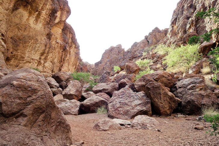 gold strike hot springs nv