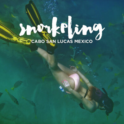 Snorkeling Cabo San Lucas with Cabo Expeditions.