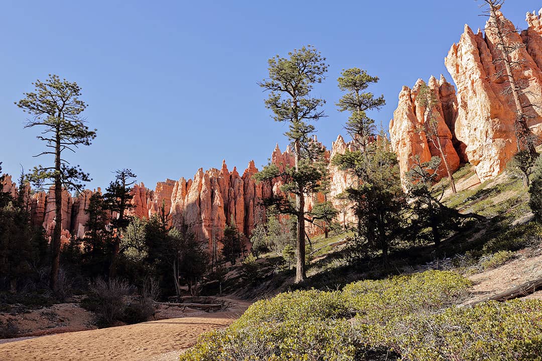 bryce canyon under the rim trail