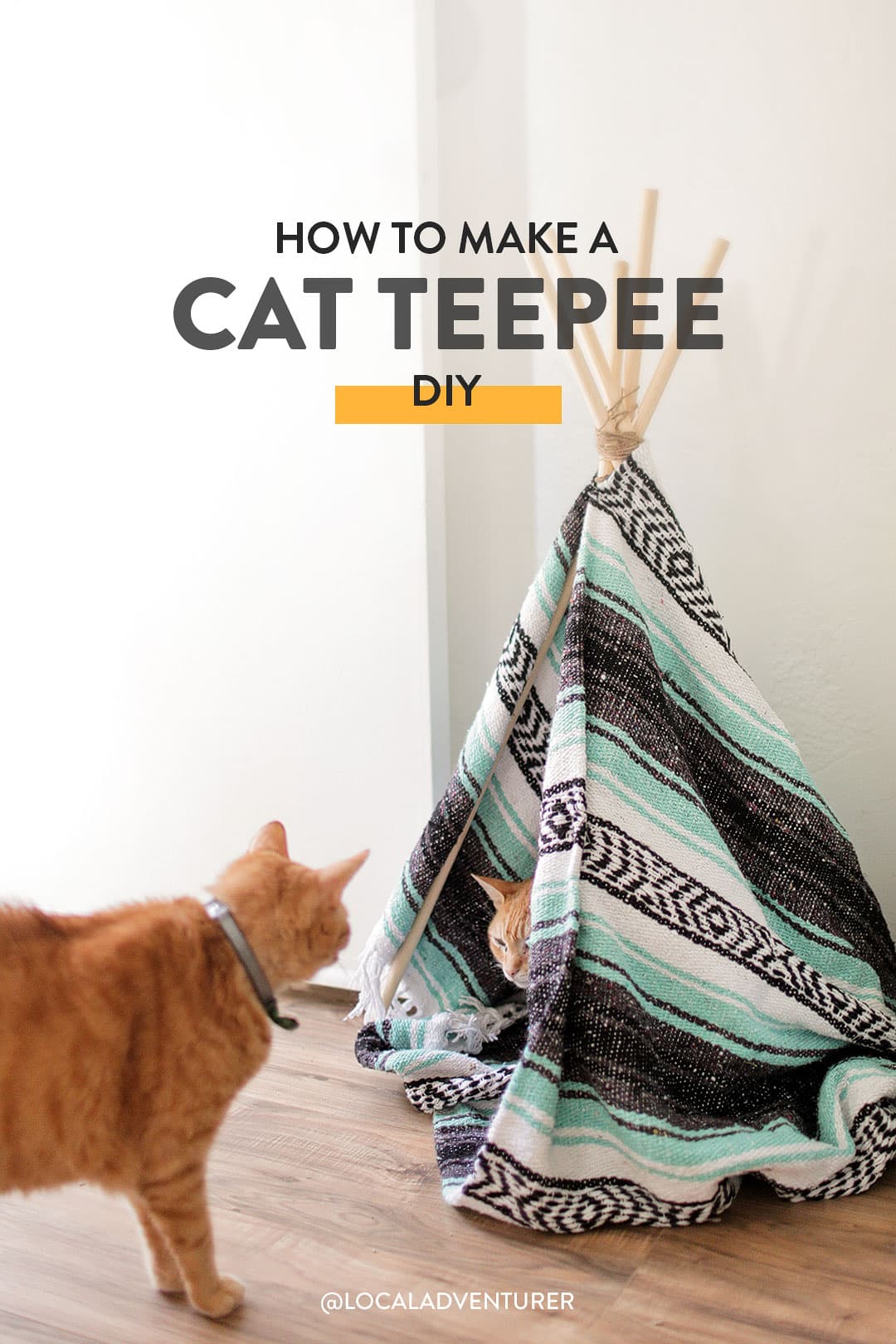 Cat tent 2024 bed diy