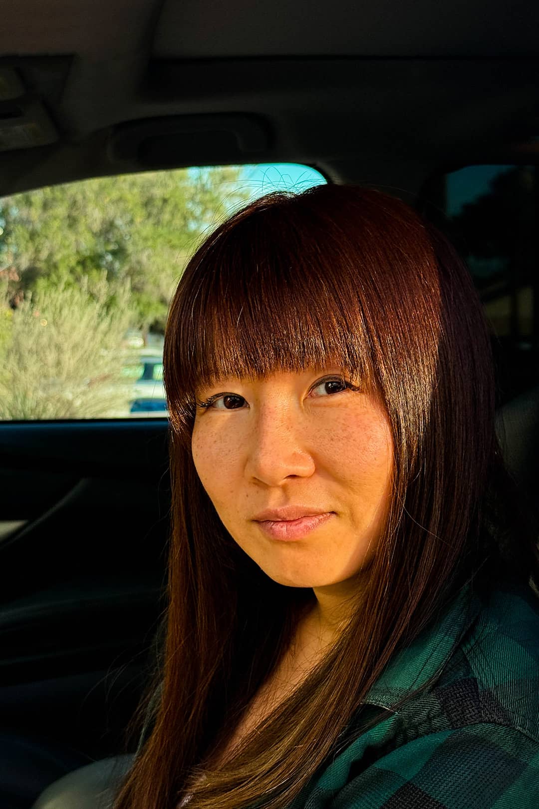 snap shades road trip essentials magntic car sun shades