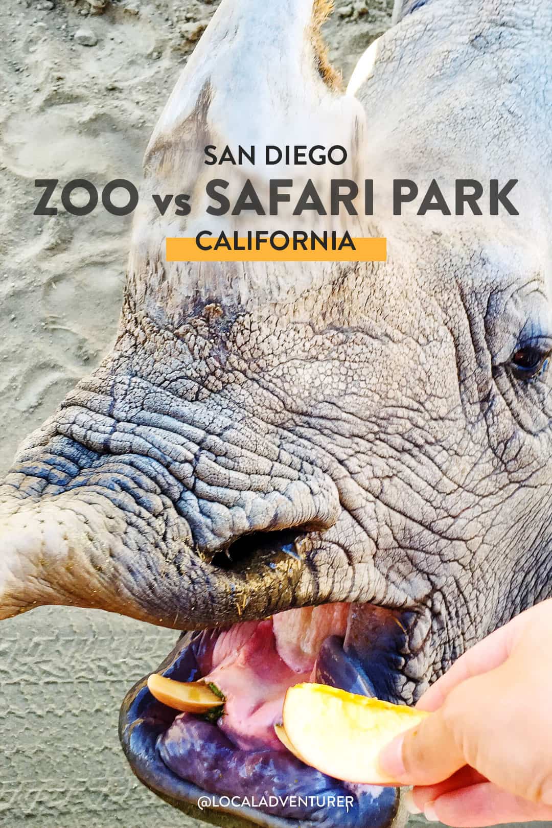 San Diego Zoo Vs Safari Park 