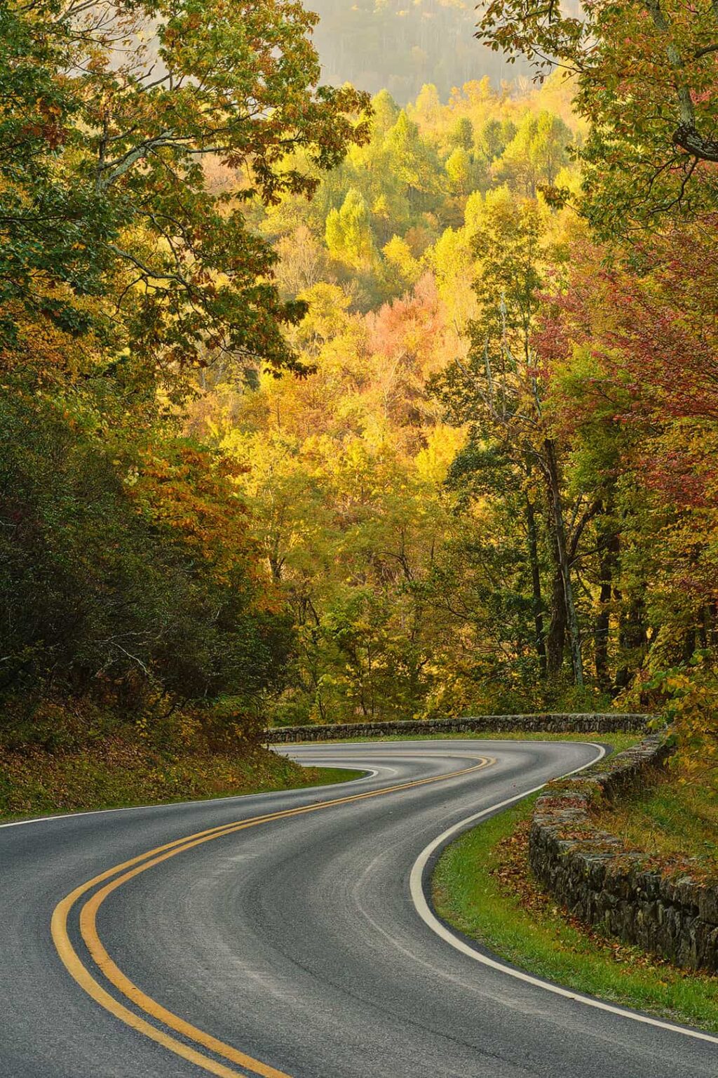 21 Best Road Trips in USA to Put on Your Bucket List » Local Adventurer