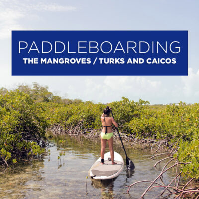 Stand Up Paddle Boarding through the Mangroves with Big Blue Unlimited (Best Things to Do in Turks and Caicos).