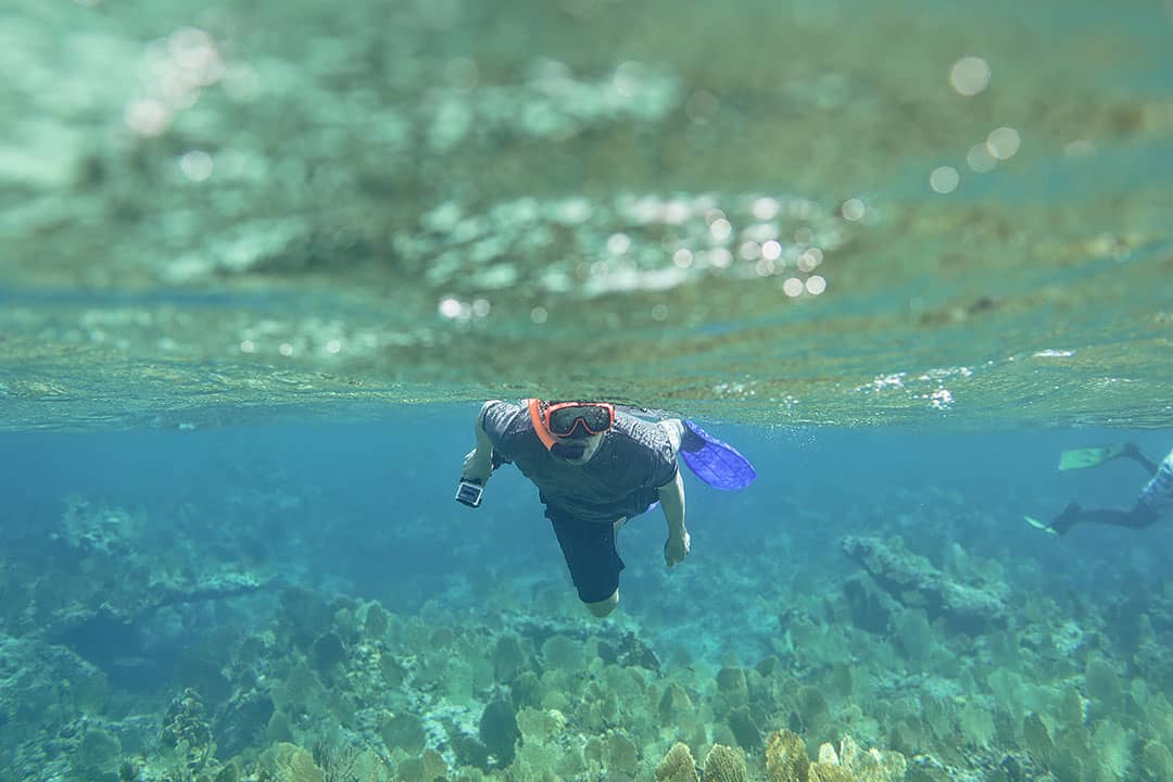 best snorkeling in turks and caicos