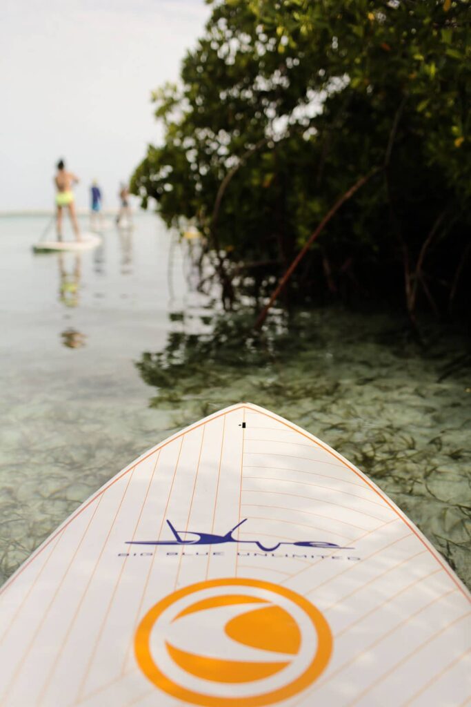 big blue turks and caicos stand up paddleboarding