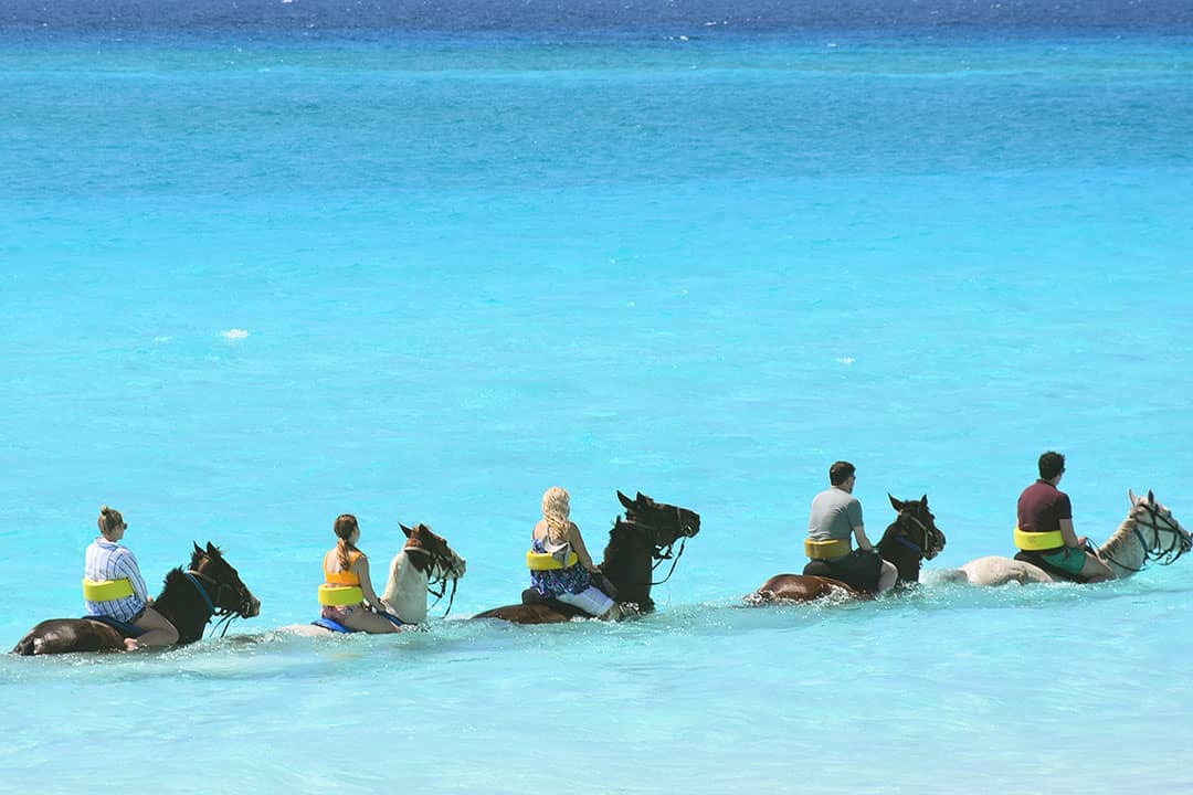 horseback riding in turks and caicos