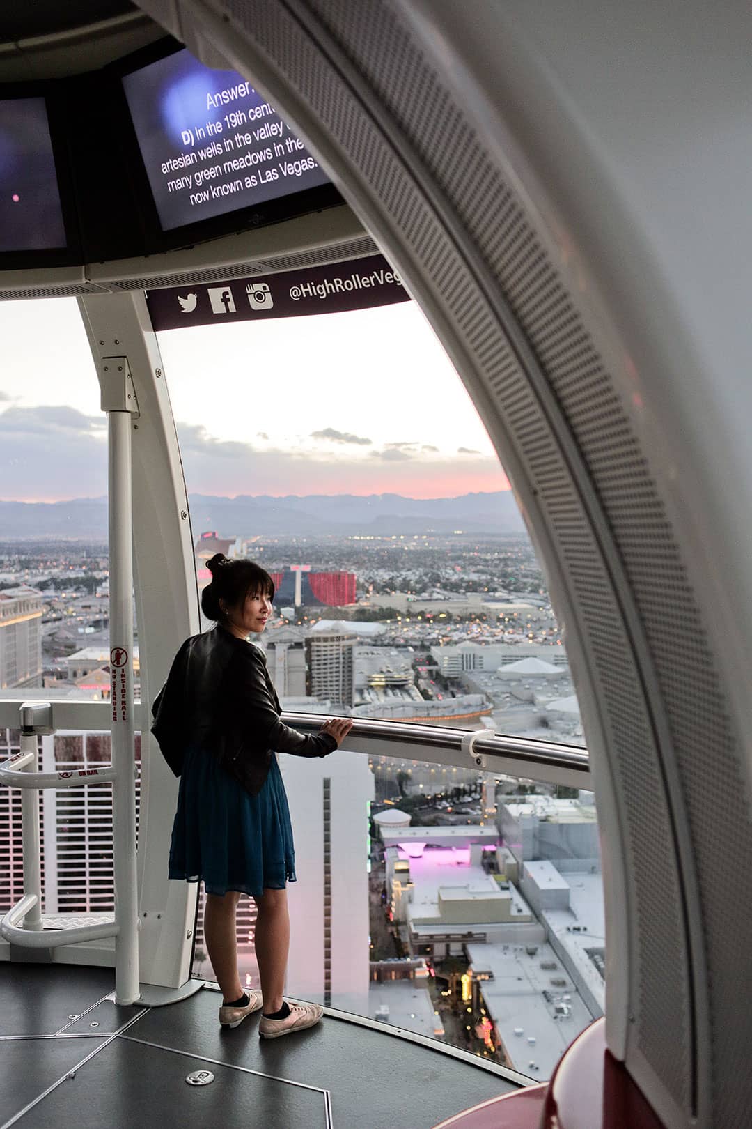 observation wheel las vegas