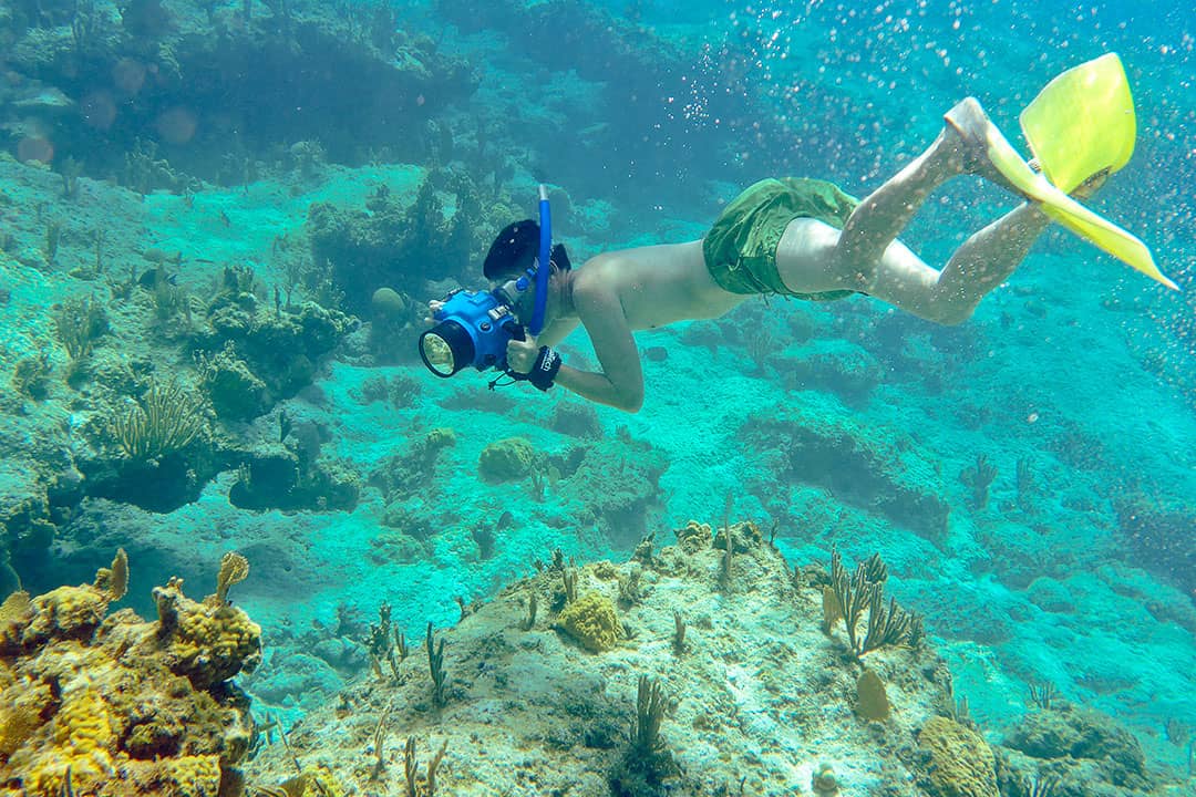 snorkeling in turks and caicos