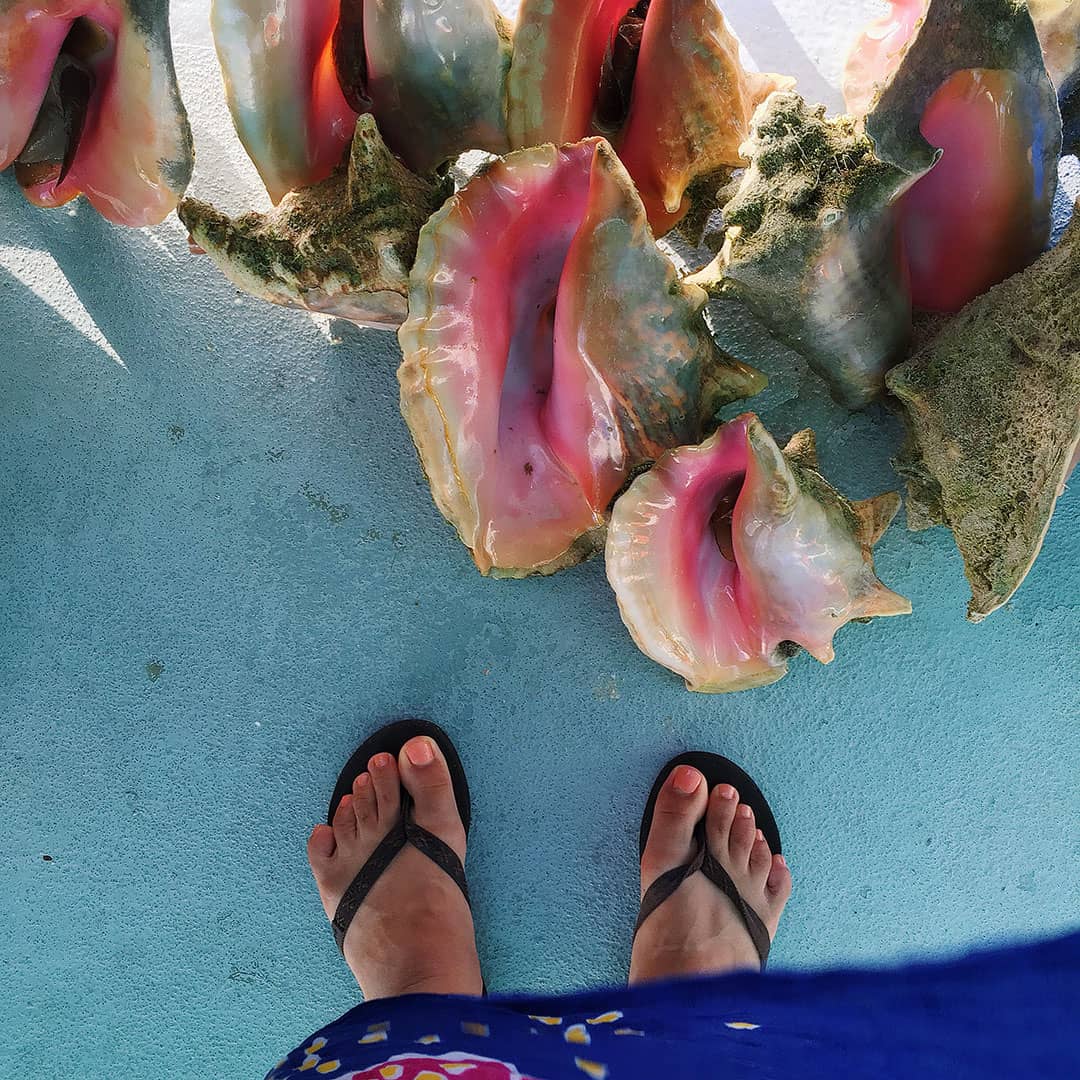 turks and caicos conch cruise