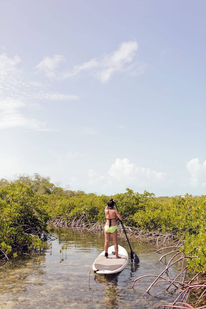 turks and caicos mangroves