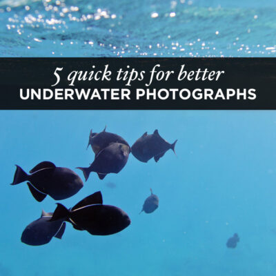 5 Quick Underwater Photography Tips for Better Travel Photos.