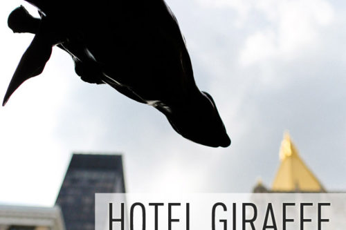 Where to Stay in NoMad – Hotel Giraffe NYC