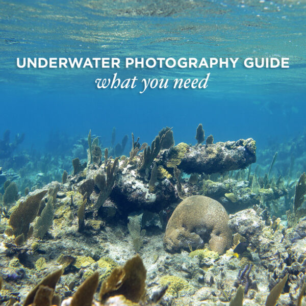 Underwater Photography Guide: What Photo Gear You Need