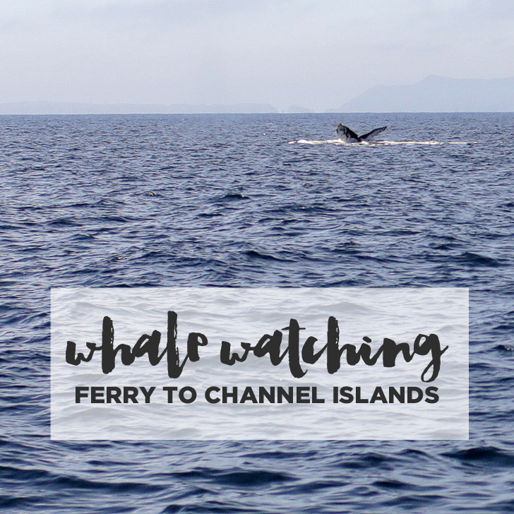 Channel Islands Ferry.