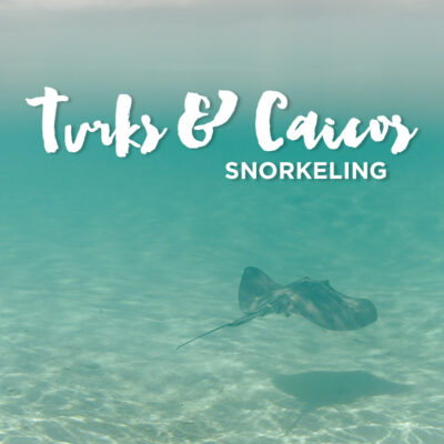 Snorkeling Turks and Caicos with Island Vibes Tours.