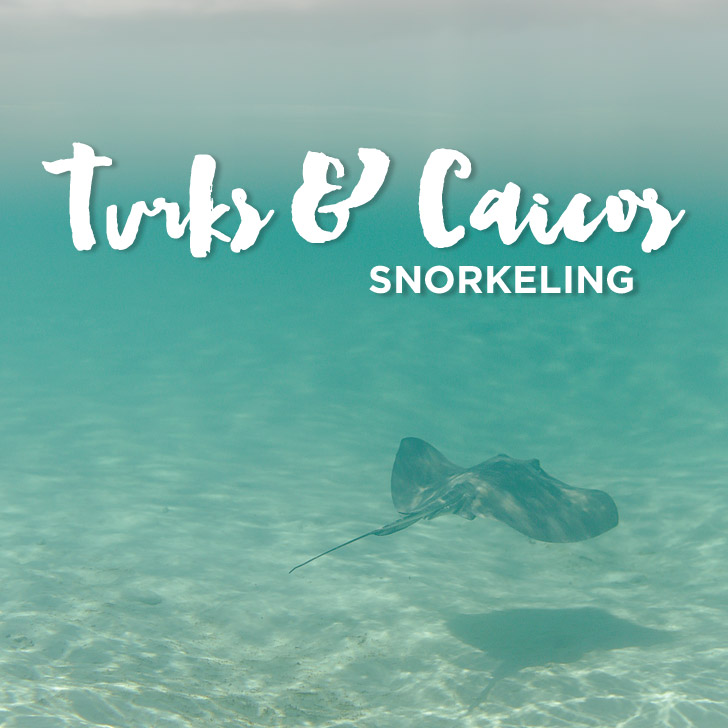 You are currently viewing Snorkeling Turks and Caicos with Island Vibes Tours
