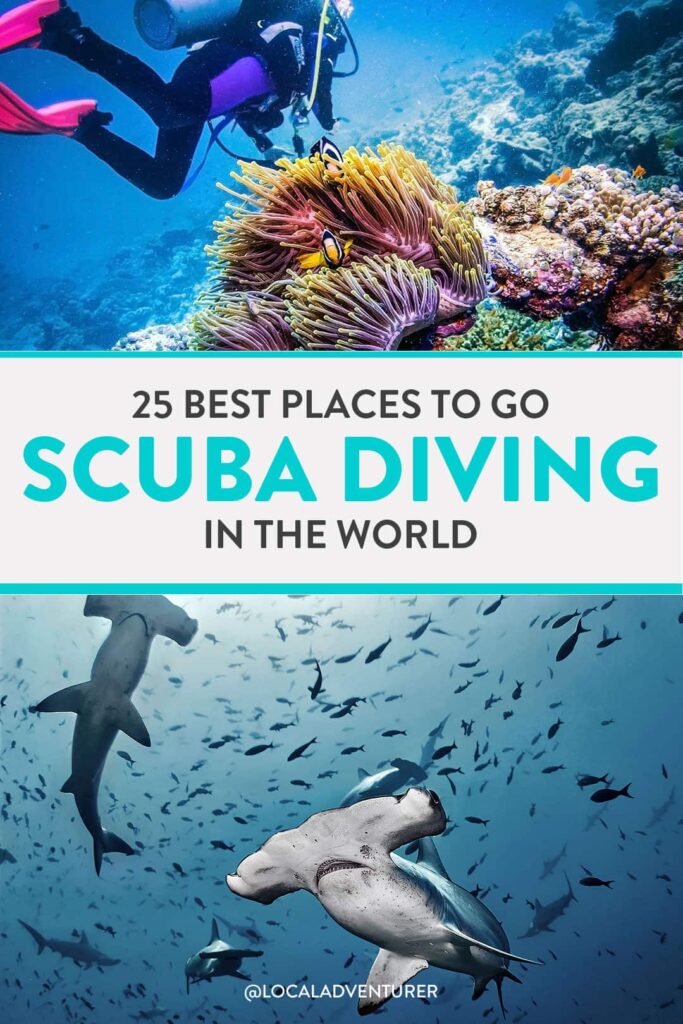 25 Best Dive Sites in the World to Put on Your Bucket List