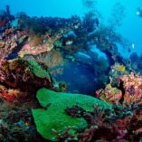 25 Best Dive Sites in the World to Put on Your Bucket List