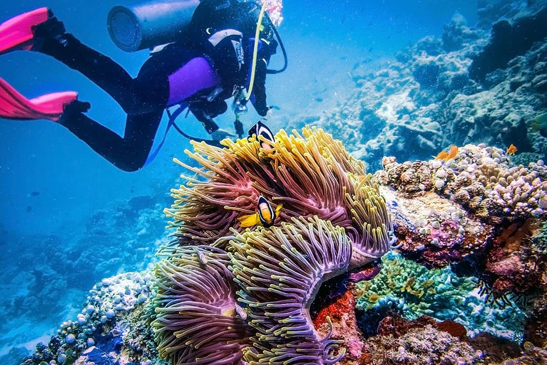 ss yongala dive australia