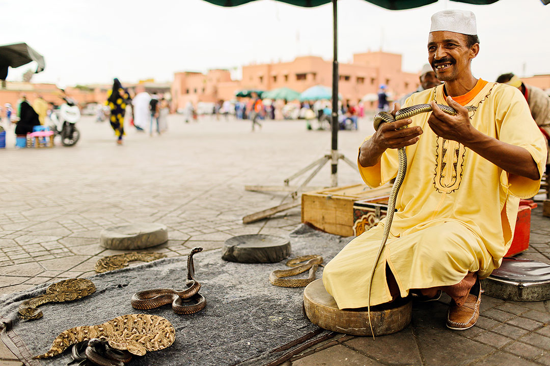 morocco travel charger